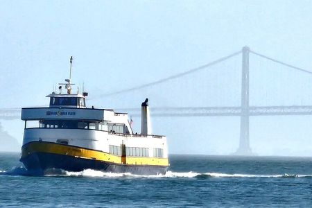 Muir Woods Sausalito Entry & Ferry to Fishermans Wharf included