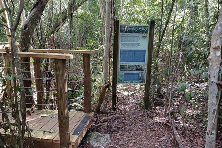 Guided Primeval Nature Walk Tour in Primeval Forest National Park