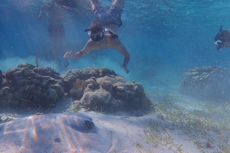 All-Inclusive Full-Day Hol Chan Snorkeling Tour 