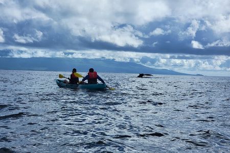 Unlimited Guided Kayaking and Snorkeling Tour-Olowalu