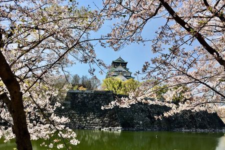 Private Half-Day Guided Tour of Osaka Castle