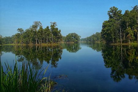 Chitwan Jeep Safari