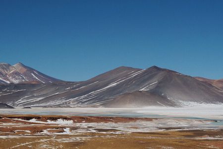 Day Tour to Piedras Rojas and Altiplanic and Chaxa Lagoons