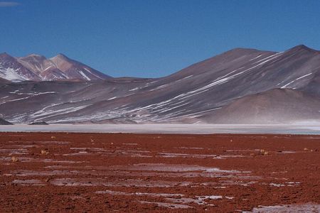 Day Tour to Piedras Rojas and Altiplanic and Chaxa Lagoons