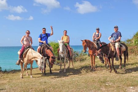 Horseback riding along Macao beach from Punta Cana