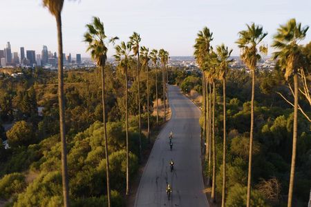 Eastside Express by luxury e-bike: LA River Frogtown Go Dodgers!