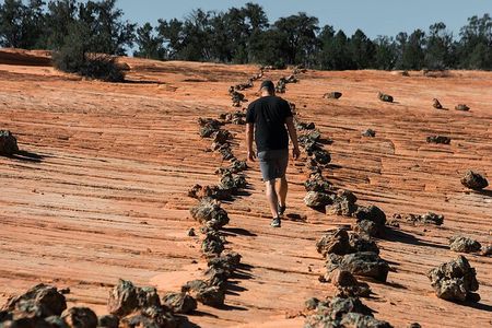 East Zion Outback UTV Tour with Licensed Guide