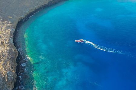 Molokini Crater Snorkel & Whale Watch Adventure (Dec 15-Mar 30)