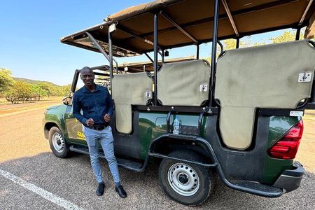 3 Hour Pilanesberg Open Vehicle Safari from Johannesburg