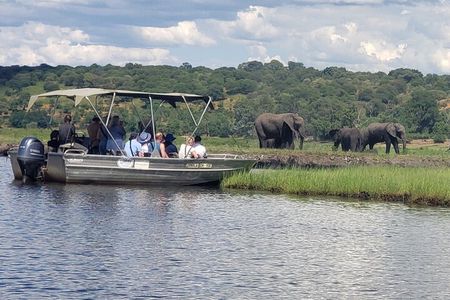 A Chobe Full Day Tour - Botwana 