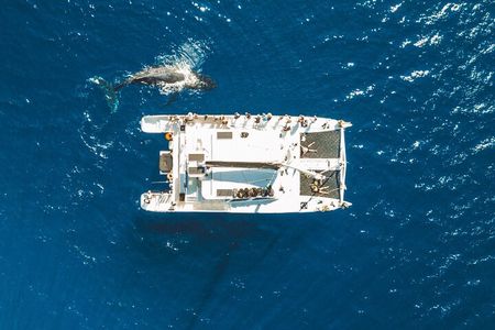 West Maui Snorkel & Sail from Ma'alaea Harbor