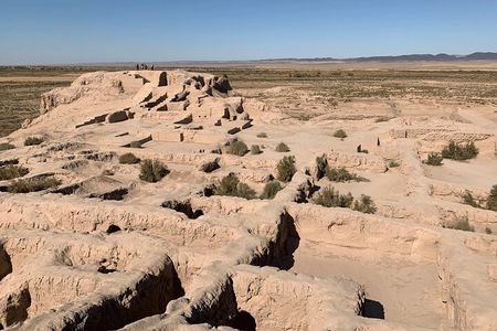 Fortress Day Trip Tour Departure from Khiva