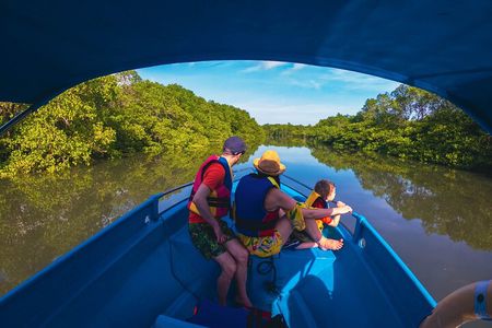 Bali Tropical Snorkeling and Mangrove Cruise