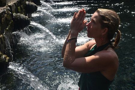 Ubud Rice Terrace, water Temple and Waterfalls Private tour 