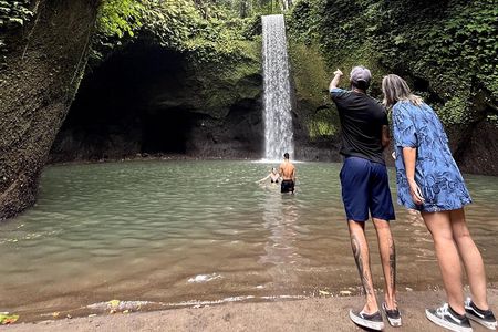 Ubud All-Inclusive: Best of Highlights Private Tour
