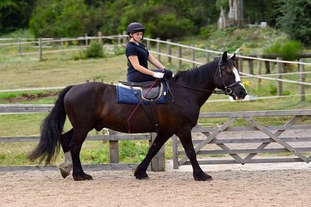 Kemer Horse Riding Experience with Transfer