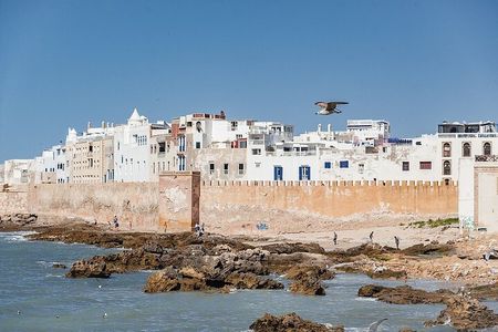 Full Day Trip To Essaouira Mogador From Marrakech