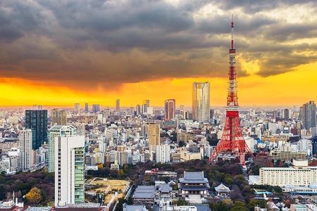 Tokyo Full Day Private Tour with English Guide Driver
