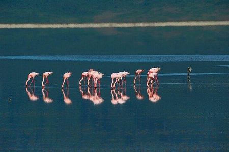 2 Days to Explore Tarangire Safari and Ngorongoro Crater