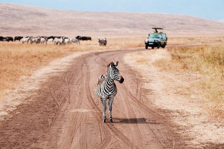 5 Days Exclusive Camping Adventure in Northern Tanzania