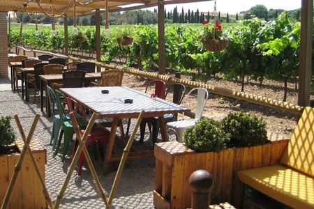 Montserrat & Winery Visit Tour with Traditional Farmhouse Lunch