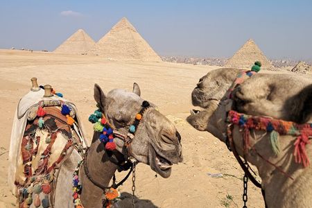 Saqqara & Giza Pyramids Tour with Camel Ride