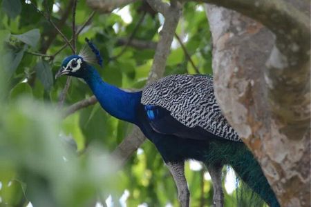 9 Days Nepal Private Tour 