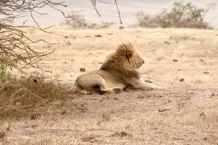 3 Days Tanzania Private Budget Safari to Serengeti & Ngorongoro