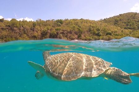 Half or Full-Day Private Boat Charter from St. John or St. Thomas