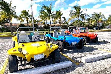 Explore Cozumel by Buggy or Jeep with Snorkel & Lunch