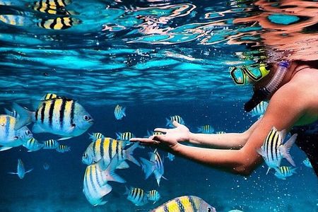 Family Fun-Snorkeling with Lunch Stop from Montego Bay
