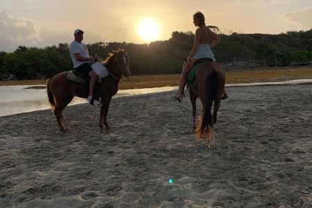 Caballo and Plantacion de Cafe Cacao y Cigarro Punta Cana