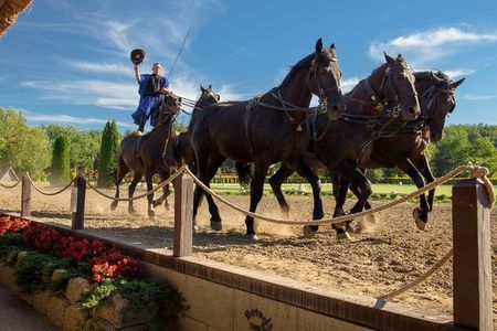 Private Sissi Palace tour in Godollo city with Puszta tour option