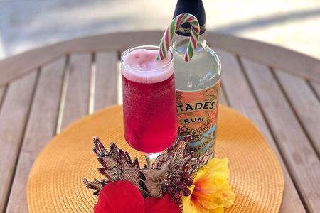 Mixology Class in Bridgetown – 10 Minutes from Cruise Terminal