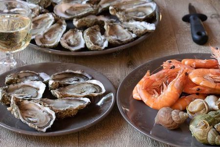 Tasting Plate of the sea or land in Cordoba