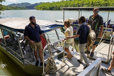 Morning Daintree Tour with River Cruise from Port Douglas