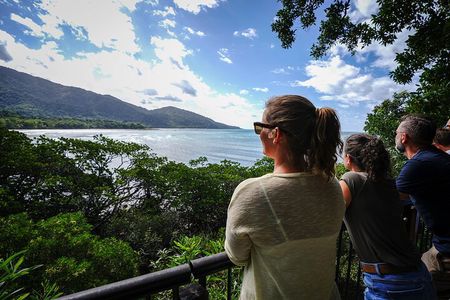 Daintree, Cape Tribulation & River Cruise from Port Douglas