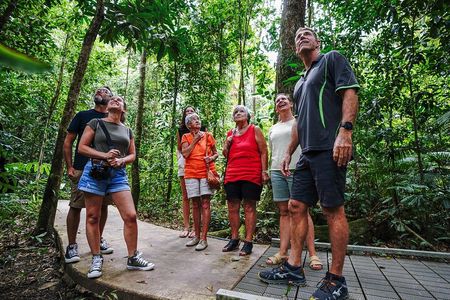 Daintree, Cape Tribulation & River Cruise from Port Douglas
