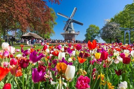 Amsterdam: Keukenhof Entry & Shuttle Bus with Flexible Return
