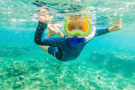 4 Hour Private Snorkeling Tour in Kona