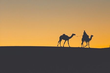 Siwa Oasis Camel Ride & Sandboarding Sunset or Sunrise 