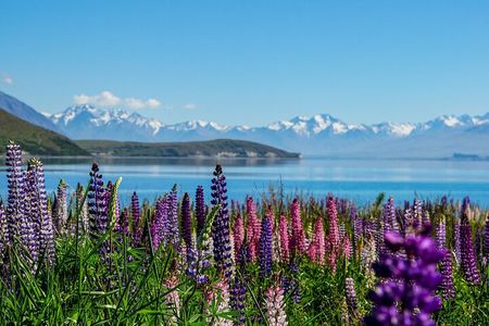 Mt Cook to Lake Tekapo Small Group Tour (one-way)