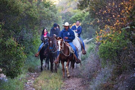 Private Shore Excursion: Bufadora & Markets + Horseback Ride 