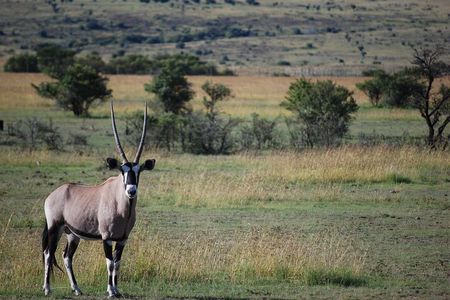 Private Day Trip to Arusha National Park