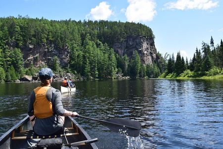 Guided Tours Algonquin Park