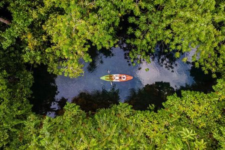 Mangrove Kayak Tour | Manuel Antonio