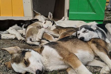 Bridge, Puppies, and Summit Triple Combo in Skagway