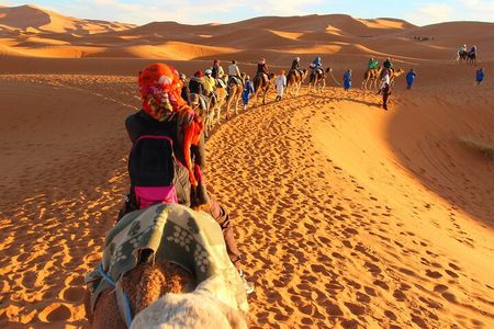 02 Days Marrakech - Ouarzazate - Zagora