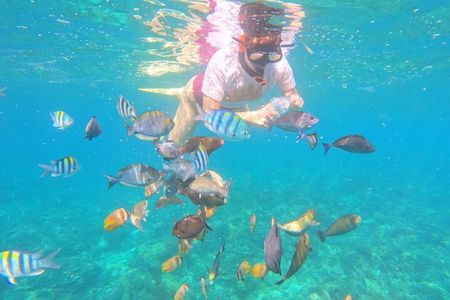 Bali Blue Lagoon Snorkeling with Optional Sightseeing