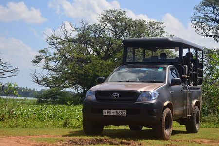 Yala National Park Private Tour with Fast Entry